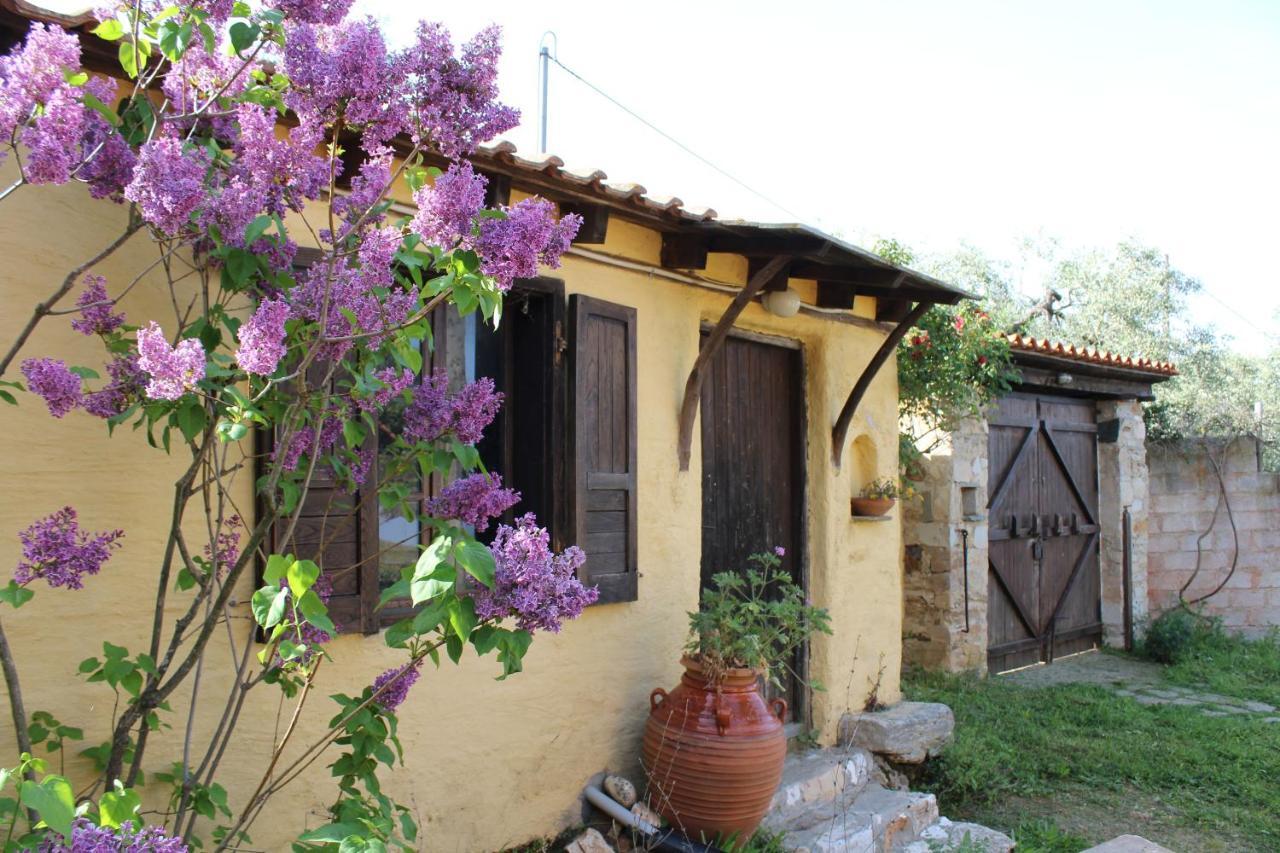 Varias Art House Kallirákhi Exterior foto
